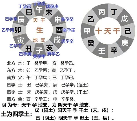 地支五行|十二地支藏干 十二地支五行属性对照表